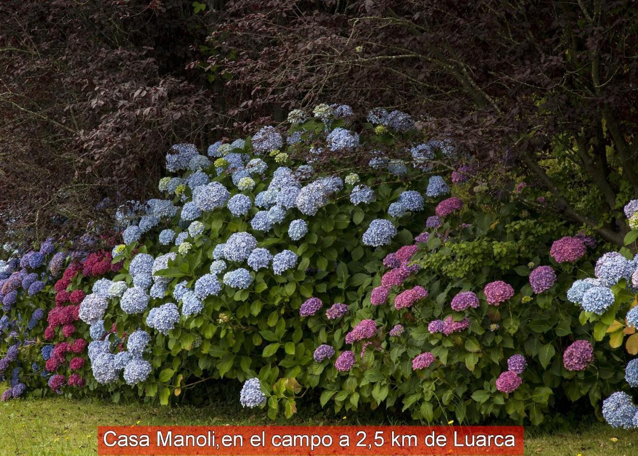 Casa Manoli Luarca Guest House Almuña Exterior foto